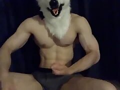 Gay XXX 14